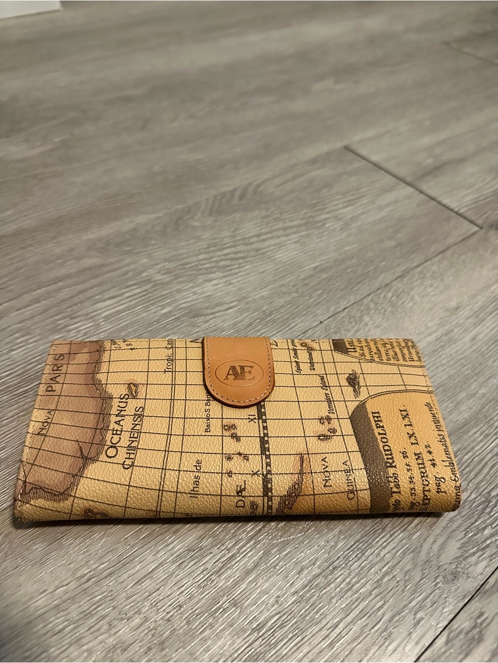 Allen Edward’s Vintage World Map Print Clutch Wallet